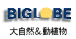 sig�厩�R�����A��