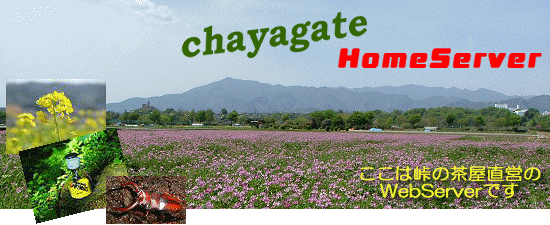 chayagate HomeServer